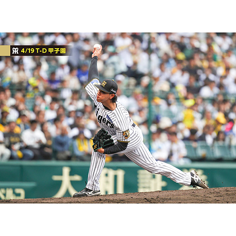 ブロマイド 4/19 T-D No.1 49工藤 - 阪神タイガース公式オンライン