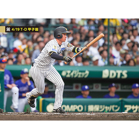 ブロマイド 4/19 T-D No.2 5近本 - 阪神タイガース公式オンライン