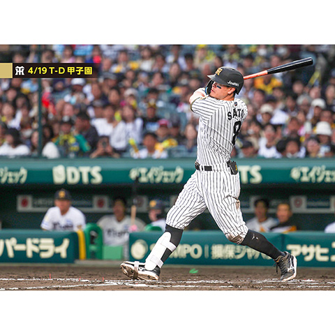 ブロマイド 4/19 T-D No.3 8佐藤（輝明） - 阪神タイガース公式