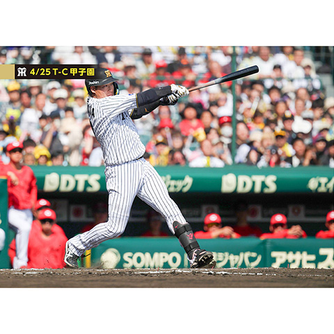ブロマイド 4/25 T-C No.2 3大山 - 阪神タイガース公式オンライン