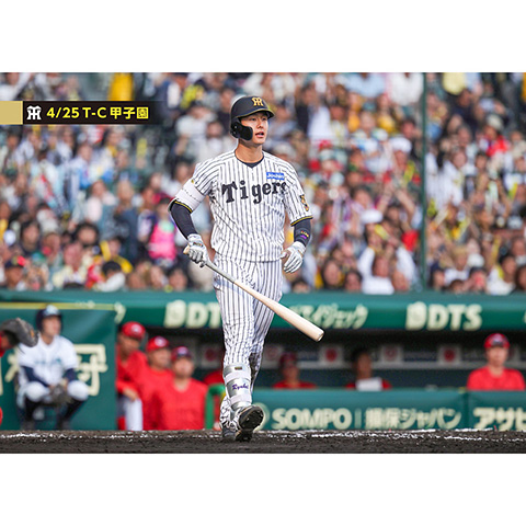 ブロマイド 4/25 T-C No.3 38小幡 - 阪神タイガース公式オンライン