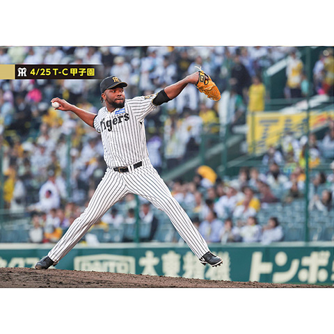 ブロマイド 4/25 T-C No.4 98ドリス - 阪神タイガース公式オンライン
