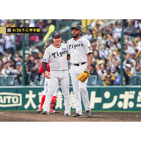ブロマイド 4/26 T-C No.4 3大山、98ドリス - 阪神タイガース公式