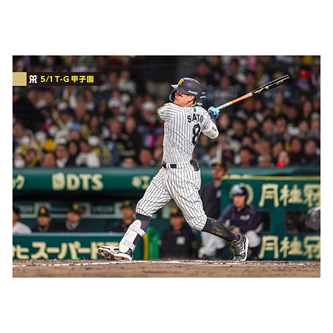 ブロマイド 5/1 T-G No.4 8佐藤（輝明） - 阪神タイガース公式