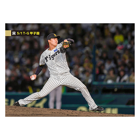 ブロマイド 5/1 T-G No.5 66津田 - 阪神タイガース公式オンライン