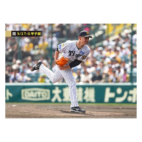 ✨ 希少 阪神タイガース マスターマインドジャパン メッシュ 入手困難 Lサイズ ブロマイド 5/2 T-G No.1 21大竹 - 阪神タイガース公式オンライン