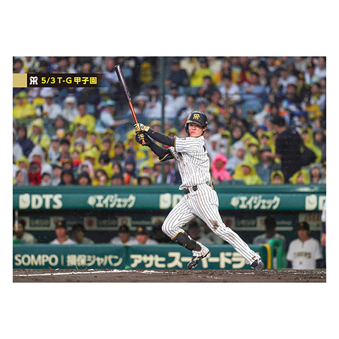 ブロマイド 5/3 T-G No.2 7中野 - 阪神タイガース公式オンライン