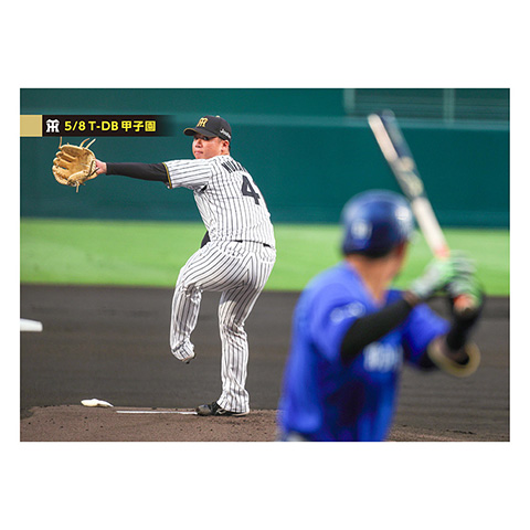 ブロマイド 5/8 T-DB No.1 41村上 - 阪神タイガース公式オンライン