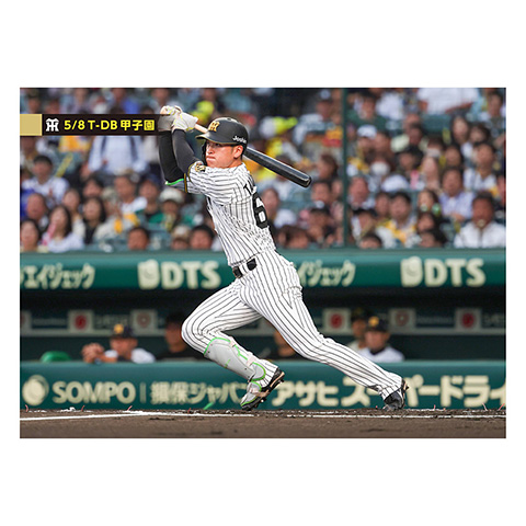 ブロマイド 5/8 T-DB No.2 67高寺 - 阪神タイガース公式オンライン