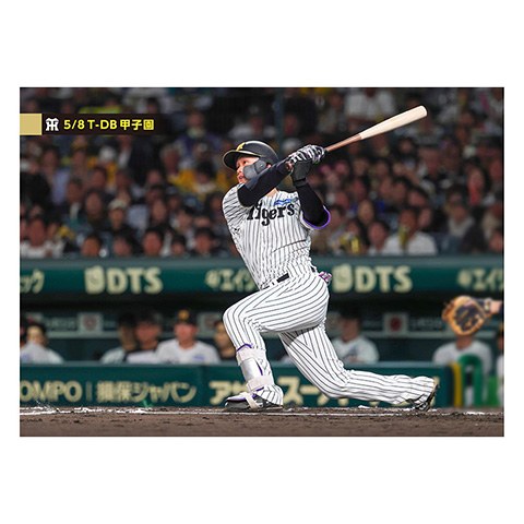 ブロマイド 5/8 T-DB No.3 1森下 - 阪神タイガース公式オンライン