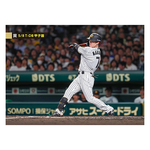 ブロマイド 5/8 T-DB No.4 7中野 - 阪神タイガース公式オンライン ブロマイド 5/8 T-DB No.4 7中野 - 阪神タイガース公式オンライン