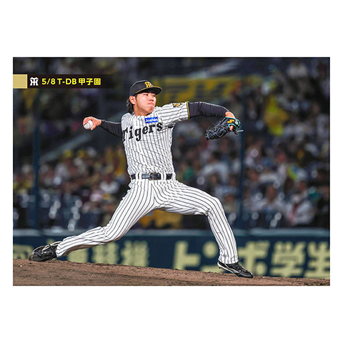 ブロマイド 5/8 T-DB No.5 49工藤 - 阪神タイガース公式オンライン