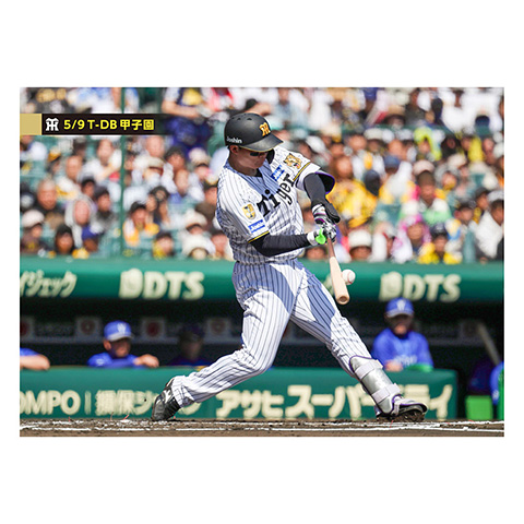 ブロマイド 5/9 T-DB No.2 1森下 - 阪神タイガース公式オンライン