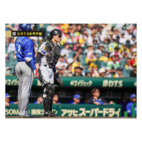 ブロマイド 5/9 T-DB No.3 12坂本 - 阪神タイガース公式オンライン