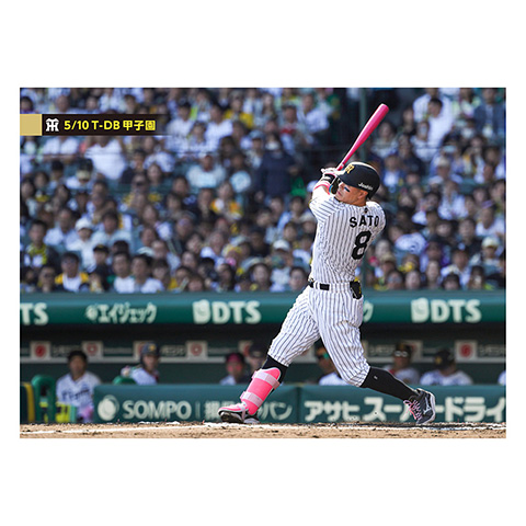 ブロマイド 5/10 T-DB No.2 8佐藤(輝明) - 阪神タイガース公式 ブロマイド 5/10 T-DB No.2 8佐藤(輝明) - 阪神タイガース公式