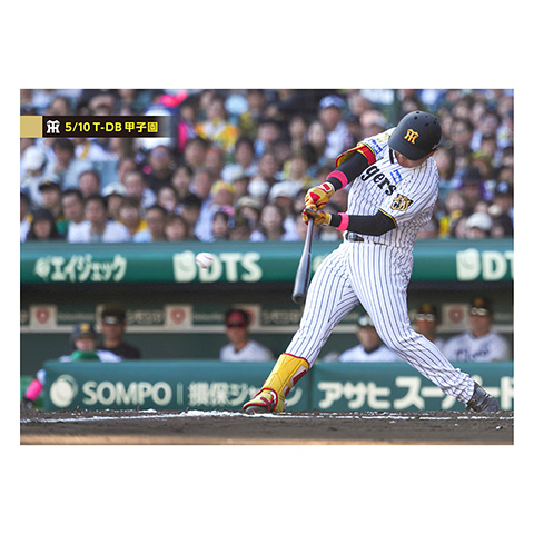 ブロマイド 5/10 T-DB No.3 85嶋村 - 阪神タイガース公式オンライン