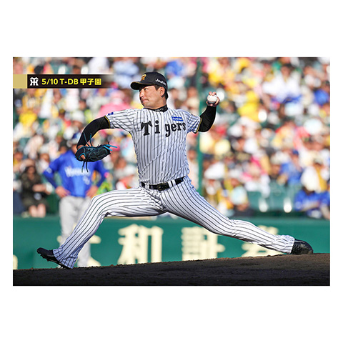 ブロマイド 5/10 T-DB No.4 13岩崎 - 阪神タイガース公式オンライン