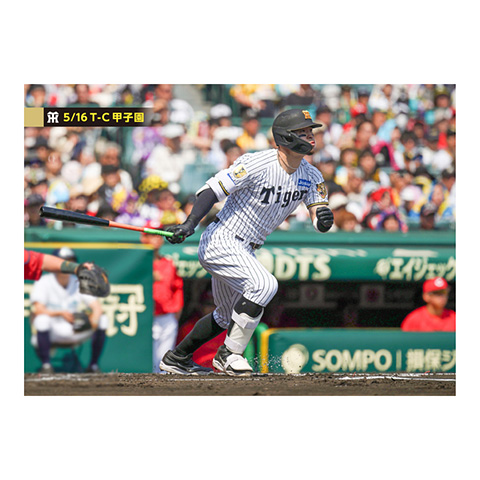 ブロマイド 5/16 T-C No.2 8佐藤（輝明） - 阪神タイガース公式