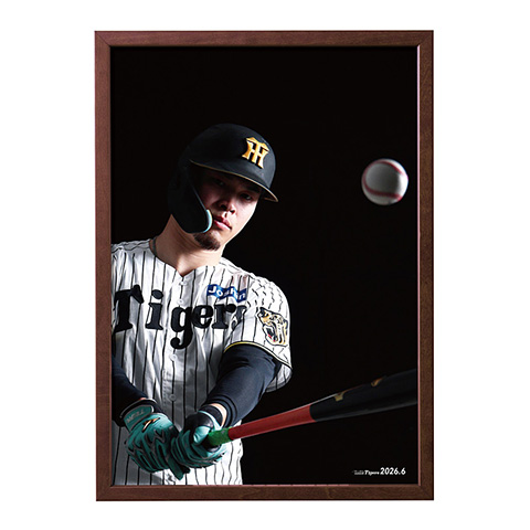 T-SHOP限定】月刊タイガース表紙写真パネル 2026年6月号☆受注生産品
