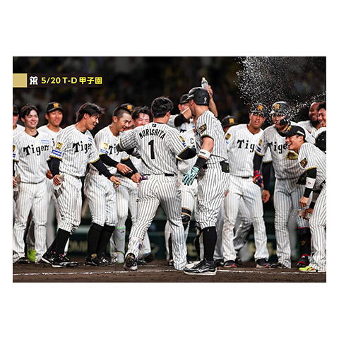 ブロマイド 5/20 T-D No.4 7中野、1森下、62植田、0木浪 - 阪神