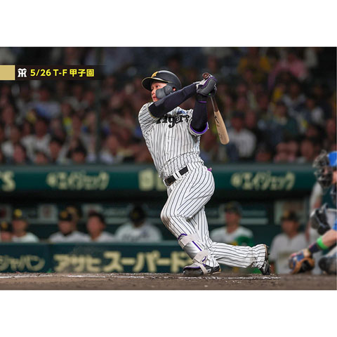 ブロマイド 5/26 T-F No.5 1森下 - 阪神タイガース公式オンライン