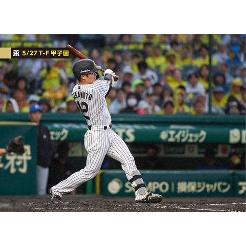 ブロマイド 5/27 T-F No.1 12坂本 - 阪神タイガース公式オンライン