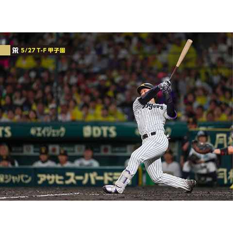 ブロマイド 5/27 T-F No.2 1森下 - 阪神タイガース公式オンライン