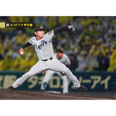 ブロマイド 5/27 T-F No.3 49工藤 - 阪神タイガース公式オンライン
