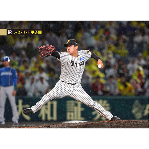 ブロマイド 5/27 T-F No.5 30門別 - 阪神タイガース公式オンライン