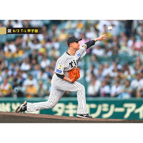ブロマイド 6/3 T-L No.1 21大竹 - 阪神タイガース公式オンライン