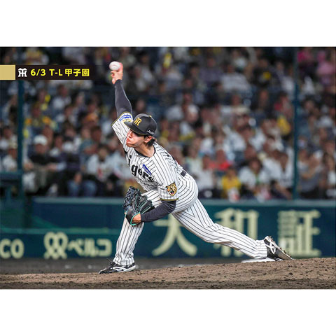 ブロマイド 6/3 T-L No.3 49工藤 - 阪神タイガース公式オンライン