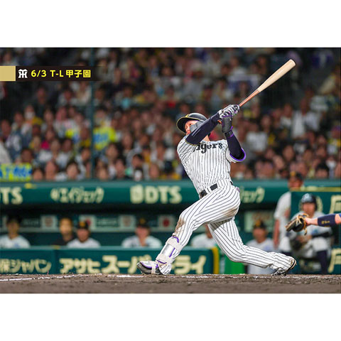 ブロマイド 6/3 T-L No.4 1森下 - 阪神タイガース公式オンライン