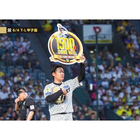 ブロマイド 6/4 T-L No.1 16西（勇輝） - 阪神タイガース公式