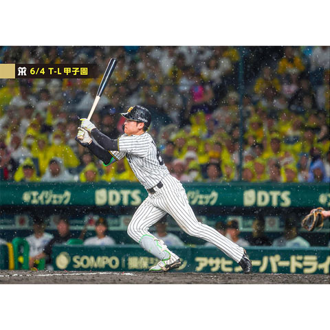 ブロマイド 6/4 T-L No.5 67高寺 - 阪神タイガース公式オンライン