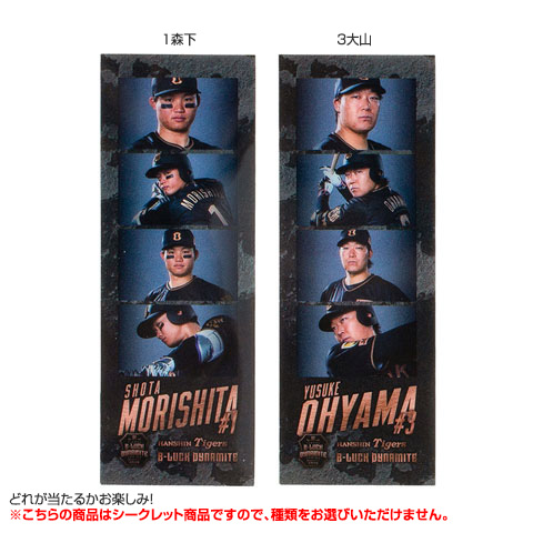 T-SHOP限定】（全8種）TBDS シークレットフォトグレイ - 阪神