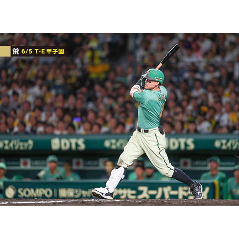 ブロマイド 6/5 T-E No.2 8佐藤（輝明） - 阪神タイガース公式