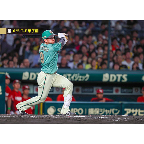 ブロマイド 6/5 T-E No.3 9立石 - 阪神タイガース公式オンライン