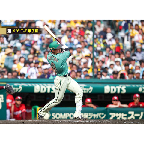 ブロマイド 6/6 T-E No.2 9立石 - 阪神タイガース公式オンライン