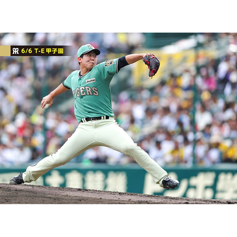 ブロマイド 6/6 T-E No.3 36畠 - 阪神タイガース公式オンライン