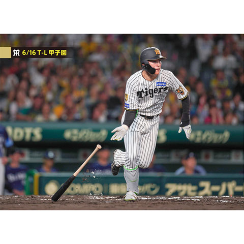 ブロマイド 6/16 T-L No.3 67高寺 - 阪神タイガース公式オンライン