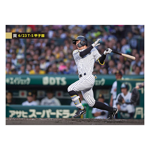 ブロマイド 6/23 T-S No.1 4熊谷 - 阪神タイガース公式オンライン