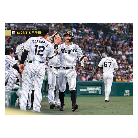 ブロマイド 6/23 T-S No.3 4熊谷 - 阪神タイガース公式オンライン