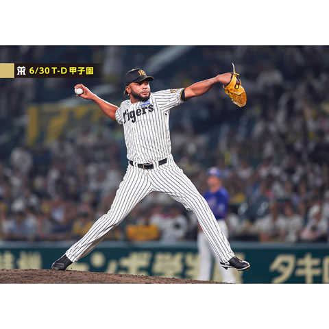 ブロマイド 6/30 T-D No.2 98ドリス - 阪神タイガース公式オンライン