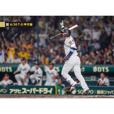 ブロマイド 6/30 T-D No.4 1森下 - 阪神タイガース公式オンライン