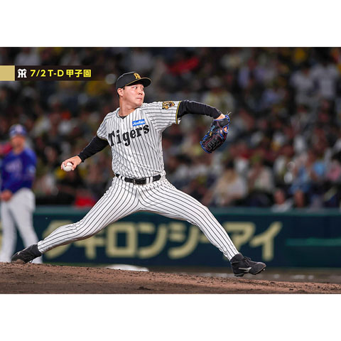 ブロマイド 7/2 T-D No.4 54木下 - 阪神タイガース公式オンライン