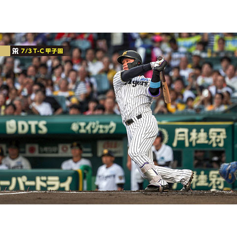ブロマイド 7/3 T-C No.1 1森下 - 阪神タイガース公式オンライン