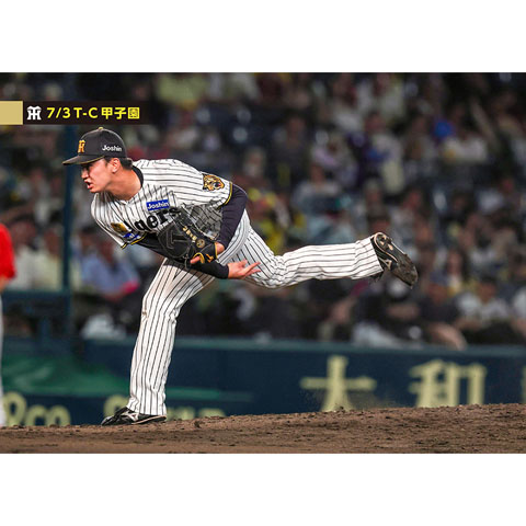 ブロマイド 7/3 T-C No.5 66津田 - 阪神タイガース公式オンライン