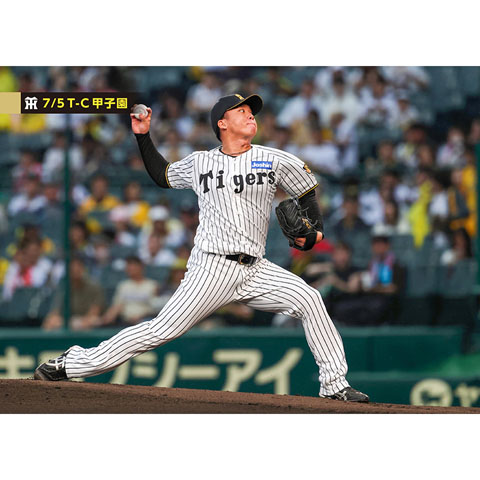 ブロマイド 7/5 T-C No.1 41村上 - 阪神タイガース公式オンライン