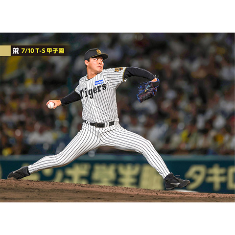 ブロマイド 7/10 T-S No.4 54木下 - 阪神タイガース公式オンライン