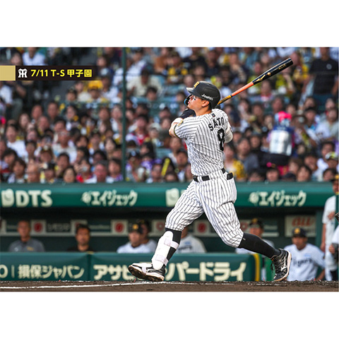 ブロマイド 7/11 T-S No.2 8佐藤（輝明） - 阪神タイガース公式